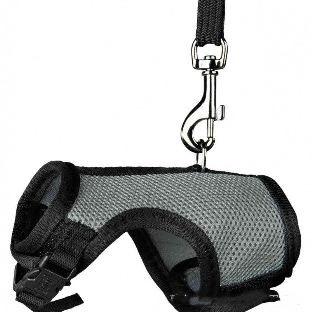 Discover the Ultimate Comfort and Security with Our Small Pet Leash